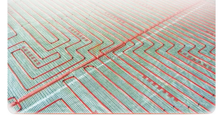 ���ȵ���